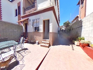 Amapola 3