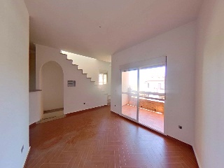 Amapola 4