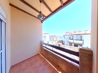Amapola 7