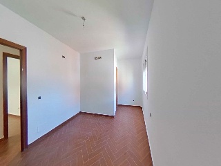 Amapola 17