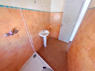 Amapola 22