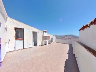 Amapola 29