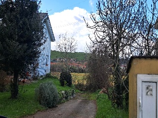 Bojuenga 2