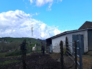 Bojuenga 4