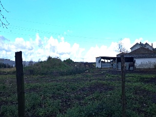 Bojuenga 5