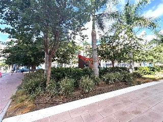 Ntra Sra De Los Remedios 7