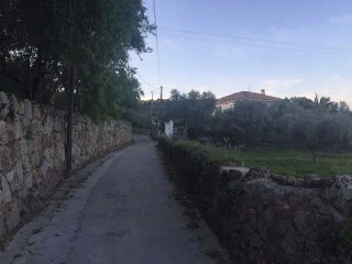 Molinillo 2
