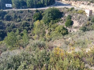 Otros en venta en Alcora (l')