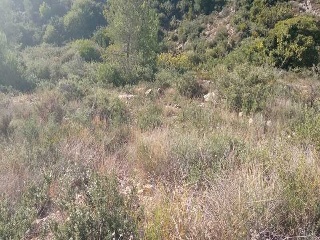 Ermita San Cristobal 9