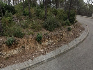 Pisos banco Olivella