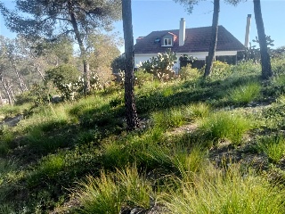 Pisos banco Olivella