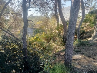 Pisos banco Olivella