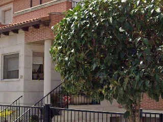 Avelino Hernandez Lucas 3