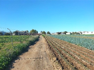 Sus-Dmn-04 Aeropuerto Vij 3