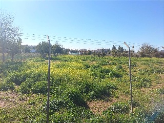 Sus-Dmn-04 Aeropuerto Vij 4