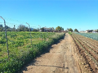 Sus-Dmn-04 Aeropuerto Vij 5