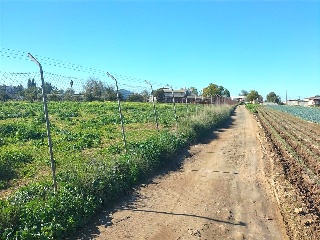 Sus-Dmn-04 Aeropuerto Vij 6