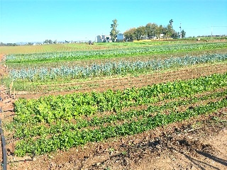 Sus-Dmn-04 Aeropuerto Vij 7