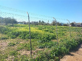 Sus-Dmn-04 Aeropuerto Vij 8