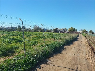Sus-Dmn-04 Aeropuerto Vij 9