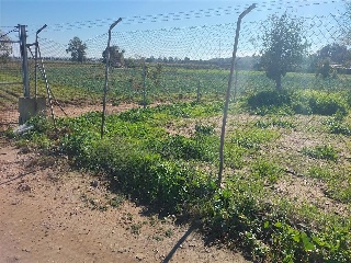 Sus-Dmn-04 Aeropuerto Vij 10