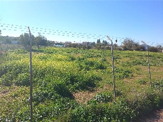 Sus-Dmn-04 Aeropuerto Vij 11