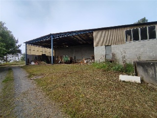 Bendaña 8