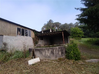 Bendaña 9