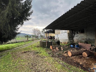 Bendaña 13