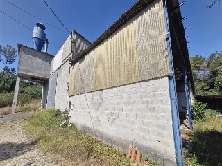 Bendaña 14