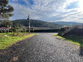 Bendaña 16