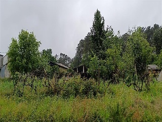 Bendaña 17