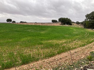 Pisos banco Campo de Criptana