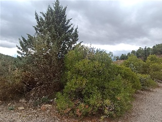 3. Parcela 6