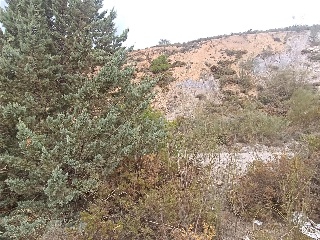 3. Parcela 7