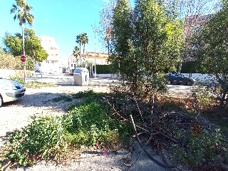 Poligono 49 9