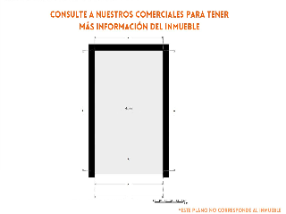 Paz 6