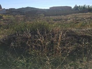 S Francisco 6