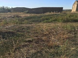 S Francisco 8