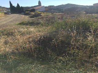 S Francisco 13