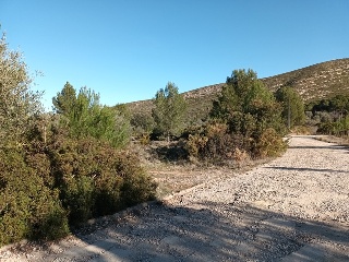 Pisos banco Macastre