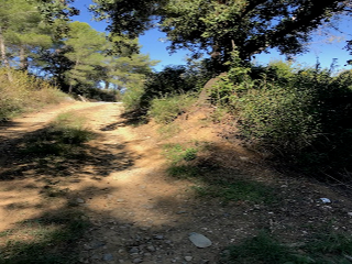 Vallesa 7