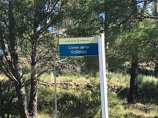 Vallesa 25