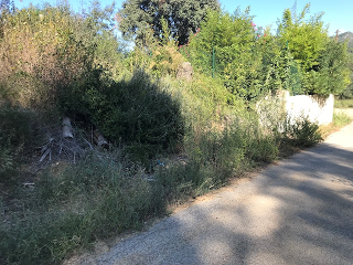Vallesa 26