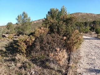 Otros en venta en Macastre