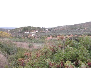 Pisos banco Macastre