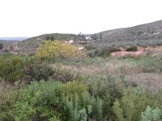 Llanorel 3