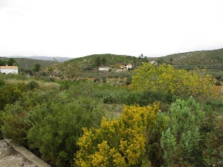 Llanorel 5