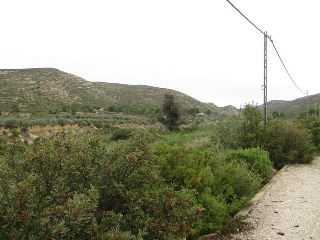Llanorel 9