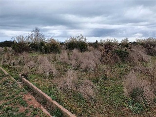 Pisos banco Casas Bajas